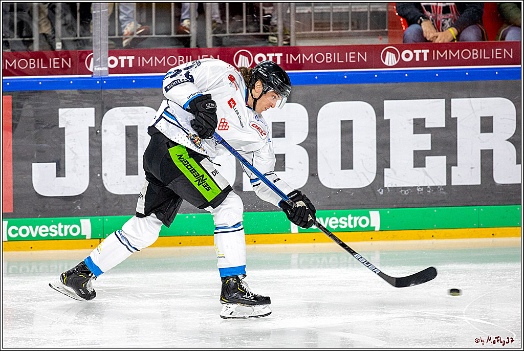 DEL; Koelner Haie - Straubing Tigers; Koeln, 17.11.2019